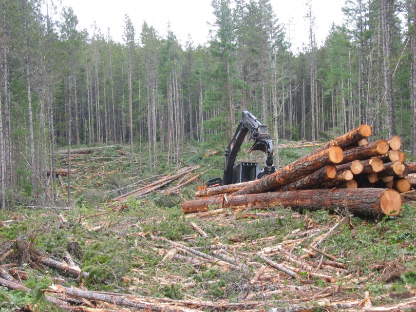 harvesting on private managed forest land